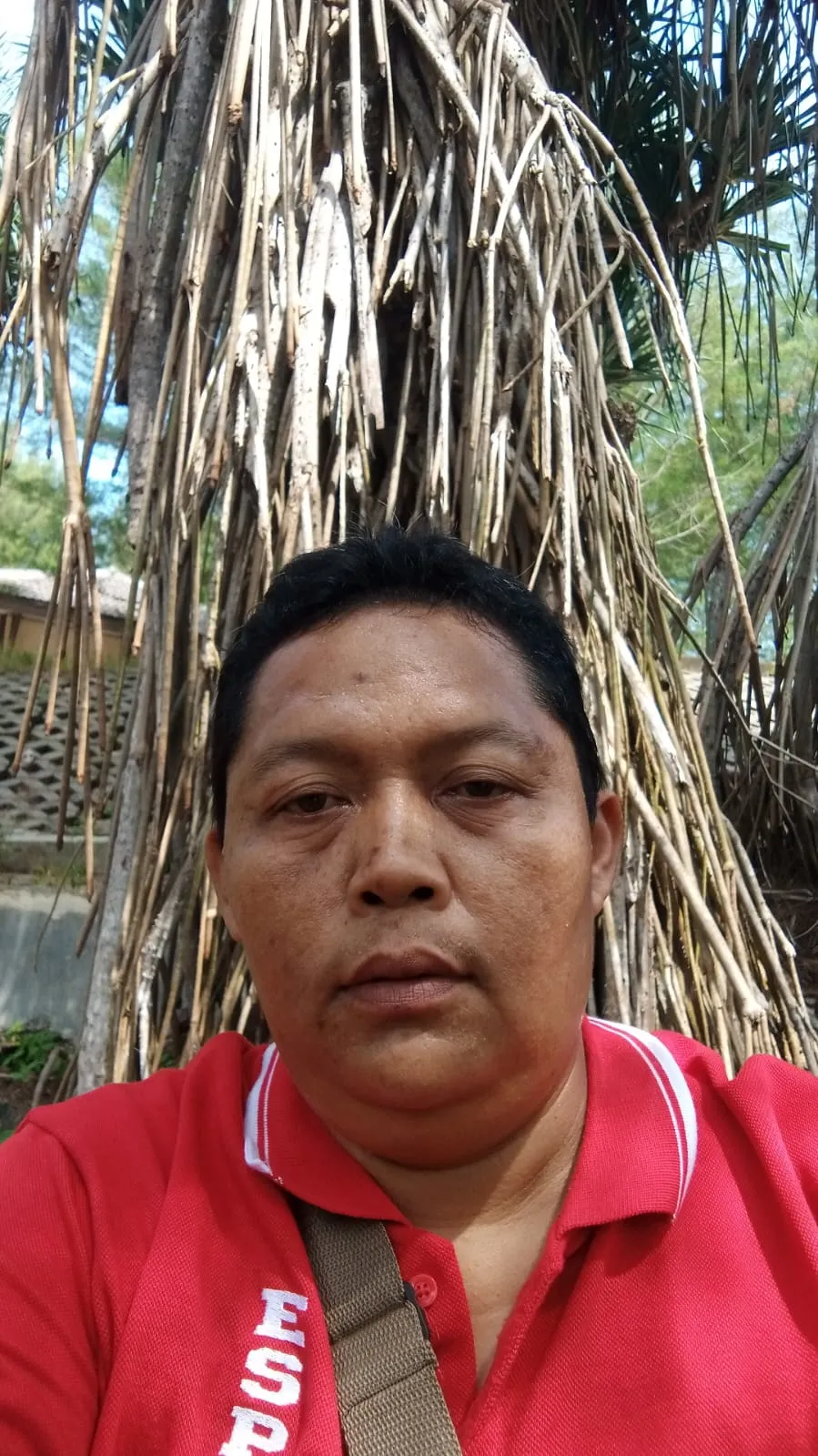 Lulut Widiyanto, S.Pd.